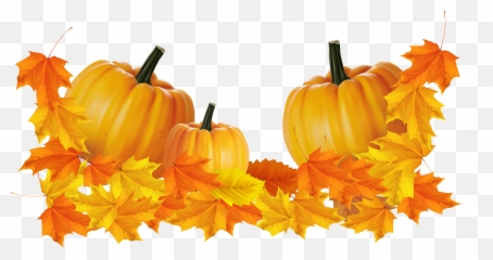 Fall Leaves And Pumpkins Png Free - Cliparts Backgrounds For Thanksgiving Emoji,Emoji Pumpkin Painting