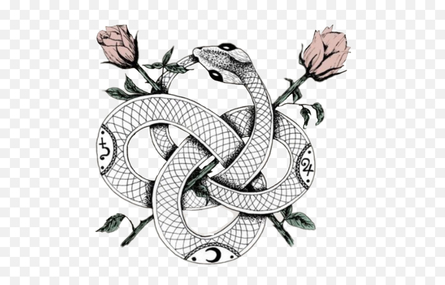 Snake Png Clipart - Screptiles Reptiles Snake Snakes Snake With Roses In It Tattoo Emoji,Snakes Emoji