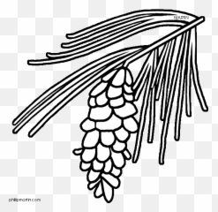 Clipart Panda - Free Clipart Images Maine State Flower Black And White Emoji,Pine Cone Emoji