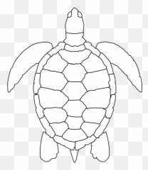 Printable Sea Turtle Coloring Page - Clip Art Library Turtle Outline Drawing Emoji,Turtle Emotions