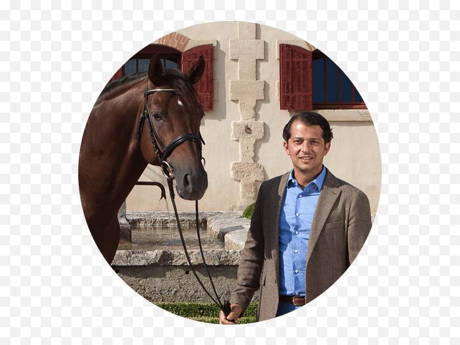 Haras De Malleret Dressage Horses - Chasse A Coure Au Château De Maleret Medoc Emoji,Horse Emotions