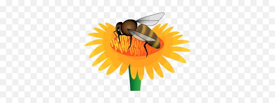 Bug Busy Bee Gif - Animated Flower And Bee Gif Emoji,Image Of Worker Bee Emoticon