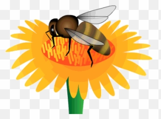 Bug Busy Bee Gif - Animated Flower And Bee Gif Emoji,Image Of Worker Bee Emoticon
