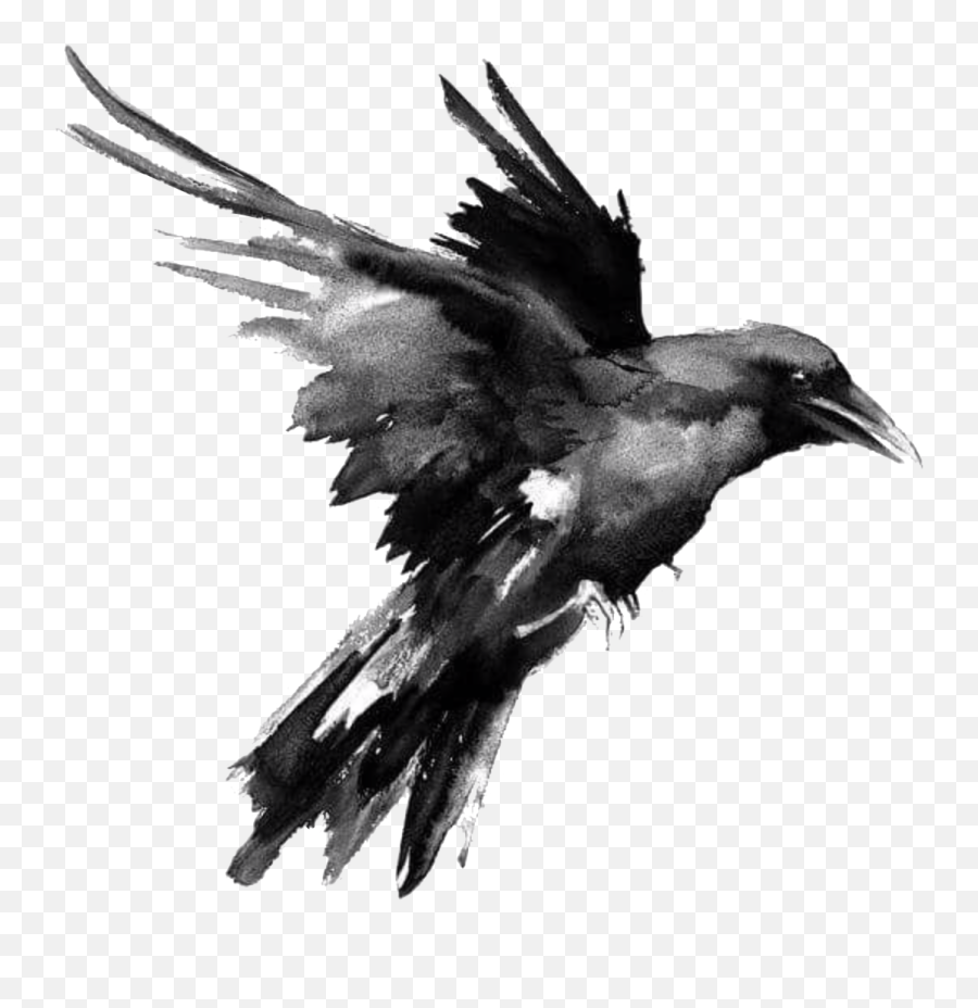 Raven Ravens Png Images - Raven Art Emoji,Raven With Emotions