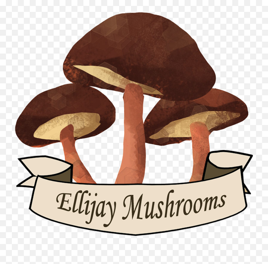 Meet Howard The Mushroom Man U2014 Untitled - Ellijay Mushrooms Emoji,Singee Manma Emotion