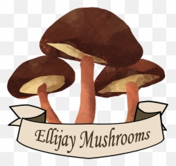 Meet Howard The Mushroom Man U2014 Untitled - Ellijay Mushrooms Emoji,Singee Manma Emotion
