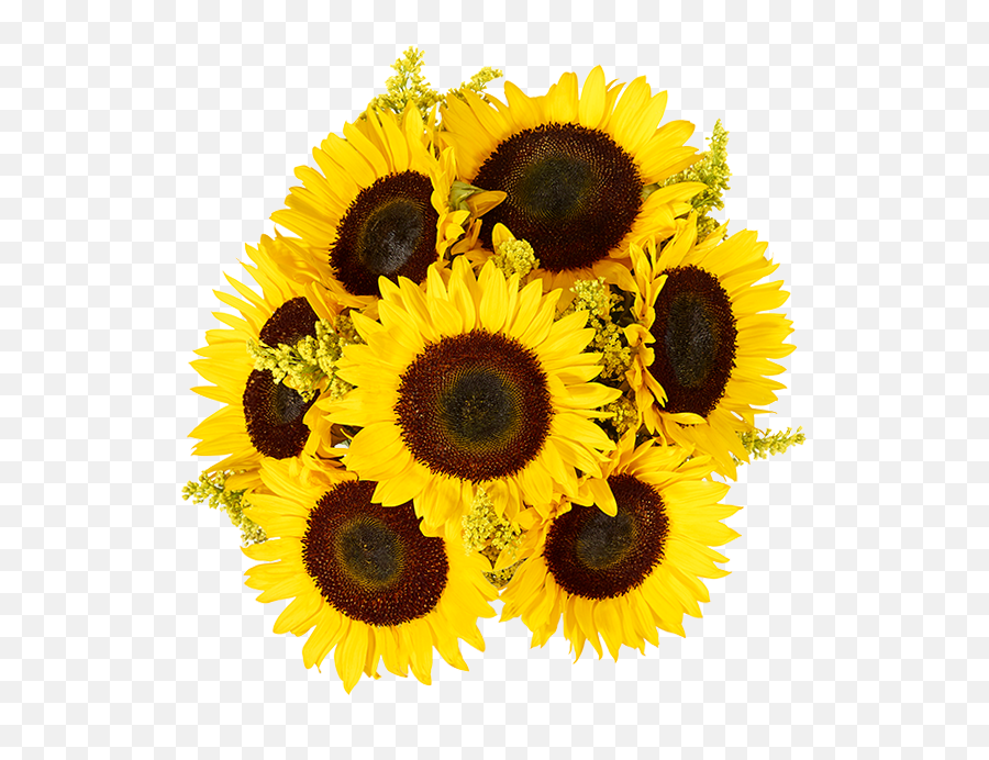 Sunflower Bouquet Sunflower Delivery Fromyouflowers - Bouquet Of Sunflowers Emoji,Facebook Sunflower Emoticons