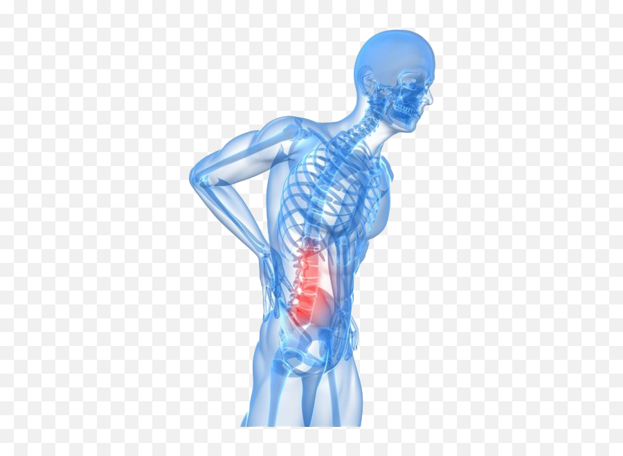 Lower Back Pain Png High - Quality Image Png Arts Spine Back Pain Gif Emoji,Emoji With Back Pain