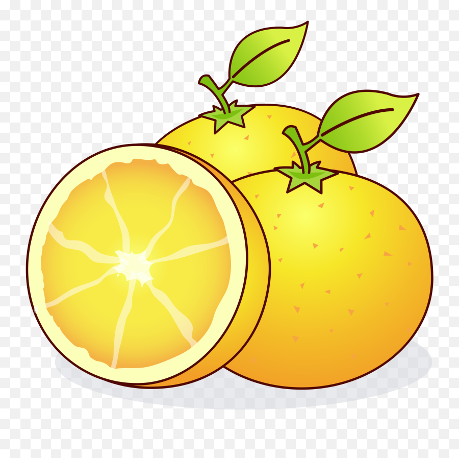 Big Image - Clip Art Citrus Png Download Full Size Citrus Fruits Png Emoji,Grapefruit Emoji