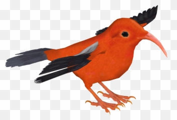 Tropical Rainforest Animals Emoji,Bohemian Rhapsody Copypasta Emoji