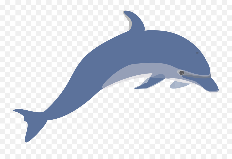 Clipart Dolphin Animation Clipart - Free Clip Art Dolphin Emoji,Dolphin Emotions