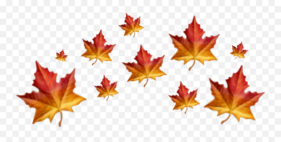 The Most Edited Autumnleaf Picsart Emoji,Guess The Emoji Four Leaf Clover