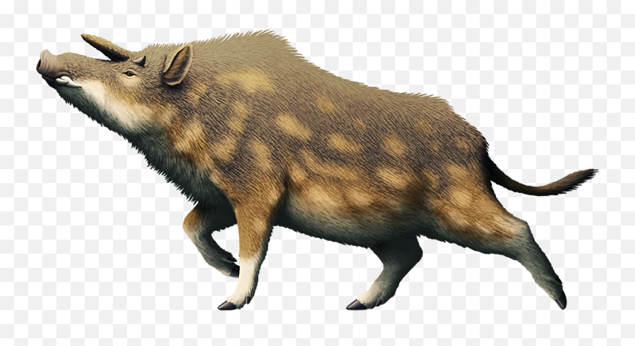 Suidae U2013 Nix Illustration Emoji,Boar Emoji