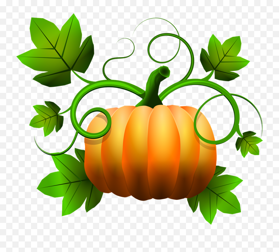 1000 Free Pumpkin U0026 Halloween Illustrations - Pixabay Free Pumpkin Clipart Transparent Emoji,Emoji Pumpkin Painting