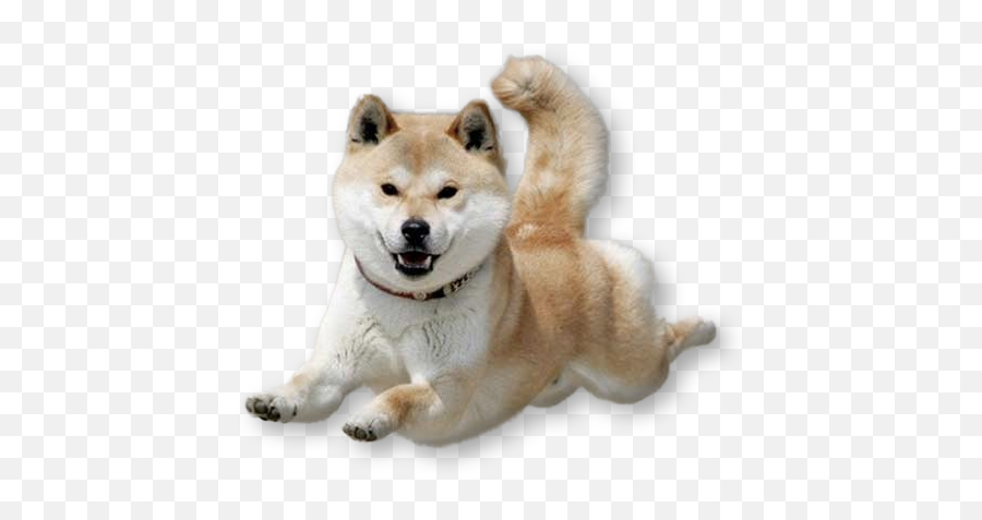 Dancing Doge Png Vector Freeuse Library - Transparent Pixel Shiba Inu Emoji,Doge Emoji