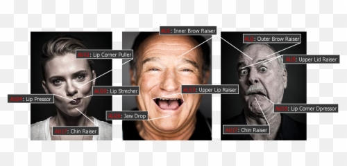 A Deep Learning Perspective - For Adult Emoji,Paul Ekman Emotion