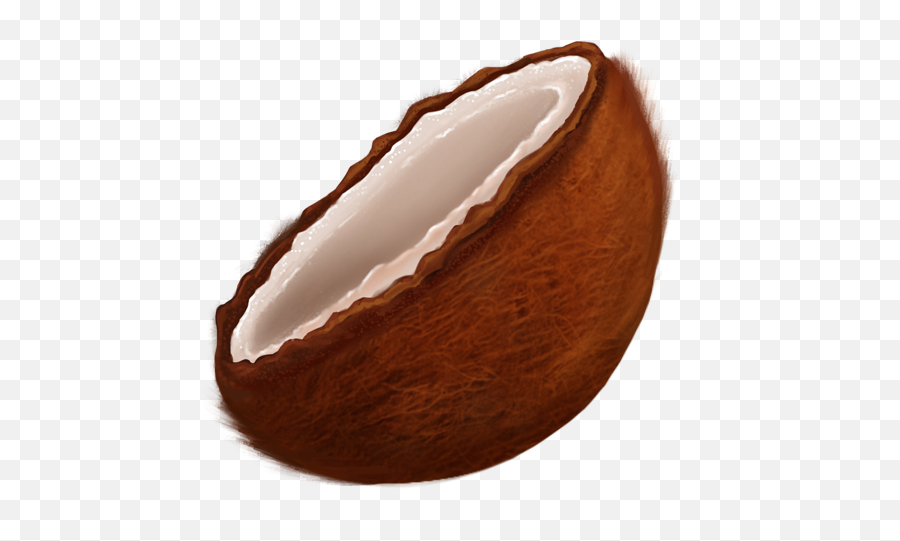 Coconut Emoji - Iphone Emoji Coconut Png,Shell Emoji