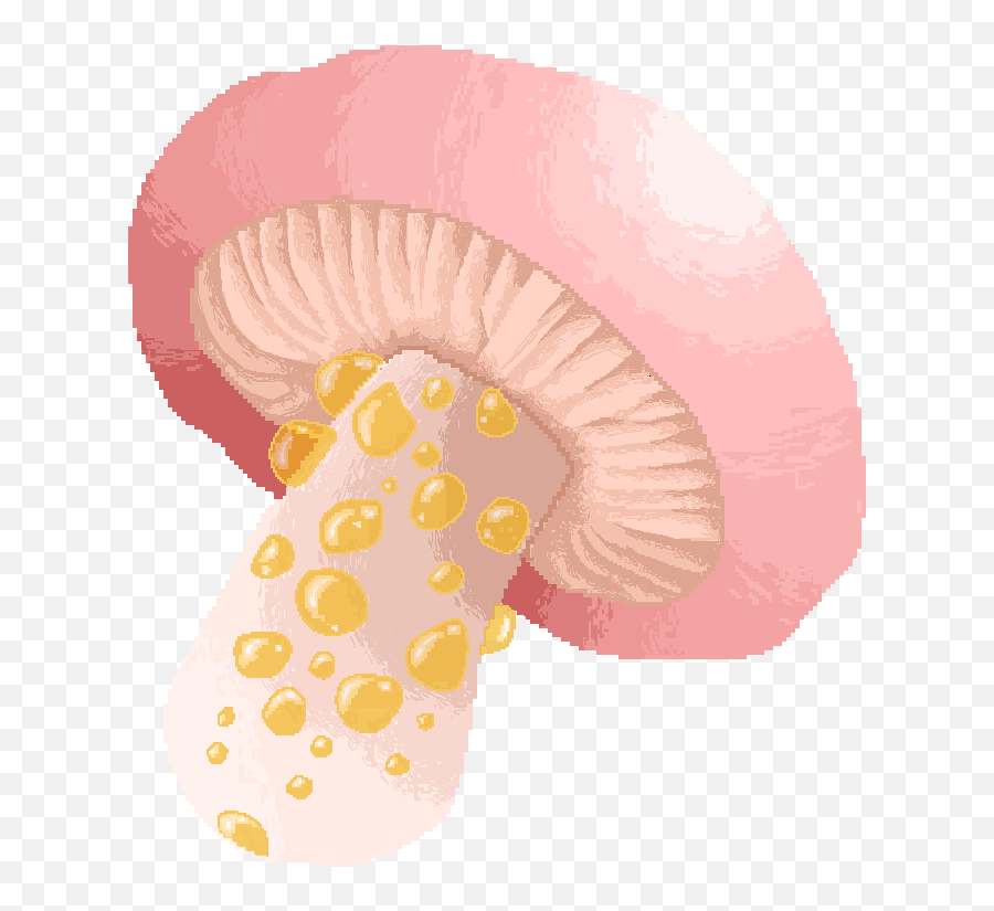 Mushroom Mushrooms Cottage Sticker - Common Mushroom Emoji,Mushrooms Emoji