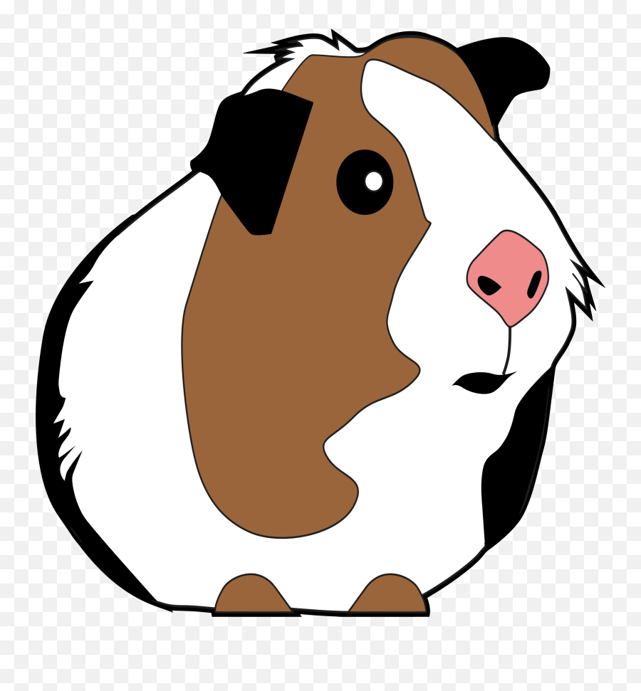 Guinea Pig Illustration Clipart - Transparent Background Guinea Pig Clipart Emoji,Guinea Pig Emoji