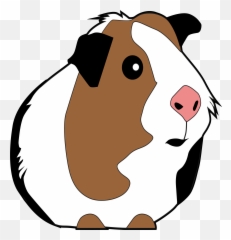 Guinea Pig Illustration Clipart - Transparent Background Guinea Pig Clipart Emoji,Guinea Pig Emoji