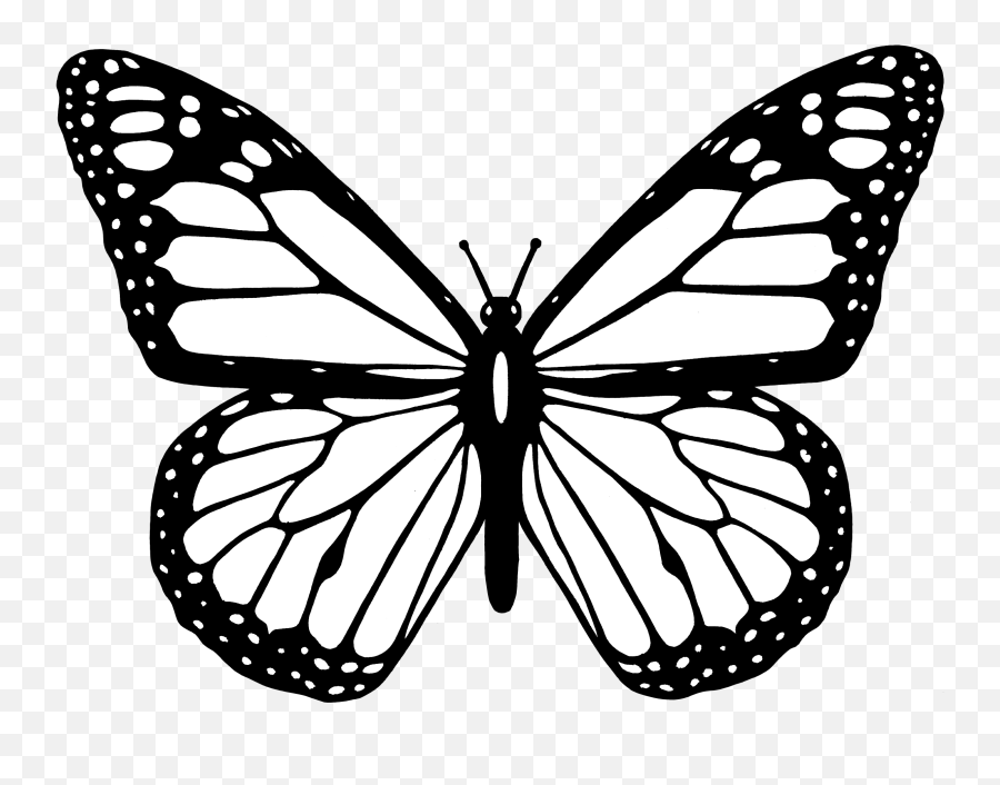 Coloring Pages White Butterfly - Transparent Butterfly Outline Png Emoji,Butterfly Emoji Png