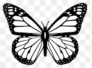 Coloring Pages White Butterfly - Transparent Butterfly Outline Png Emoji,Butterfly Emoji Png