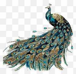Peacock Sticker - Peacock Artwork Printable Vintage Emoji,Peacock Emoji