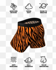 The Biggest Cat Tiger Ball Hammock Pouch Underwear - American Eagle Boxers Guide Emoji,Kitty Emoticon Panities