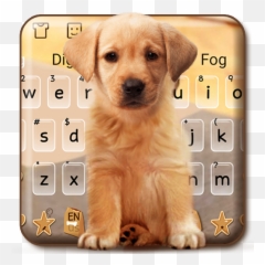 Cute Dog Labrador U2013 Programme Op Google Play - Guard Dog Emoji,Dog Emoji Keyboard
