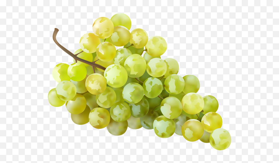 Free Transparent Common Grape Vine Png - Grape White Png Emoji,Grape Emoji Png