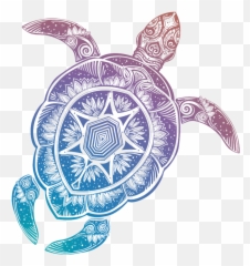 A Little Lifestyle Philosophy - Clipart Sea Turtle Transparent Background Emoji,Turtle Emotions