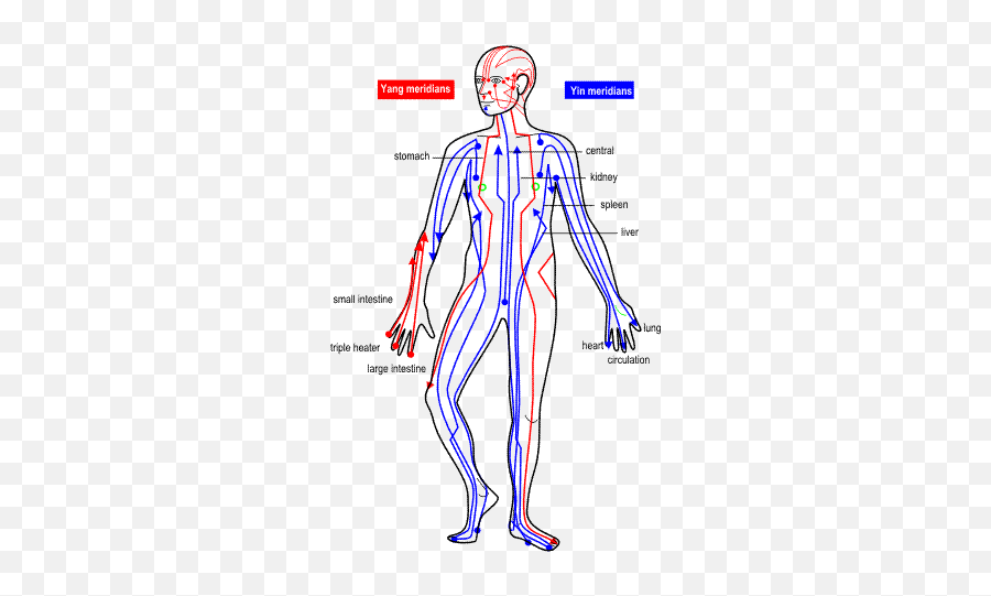 Shiatsu Massage - Acupuncture Meridians Emoji,Meridian Emotions Chart