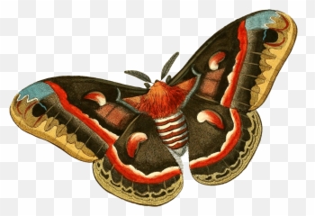 Free Will Astrology Week Of January 28 2021 Newcity Emoji,Can Luna Moths Feel Emotions