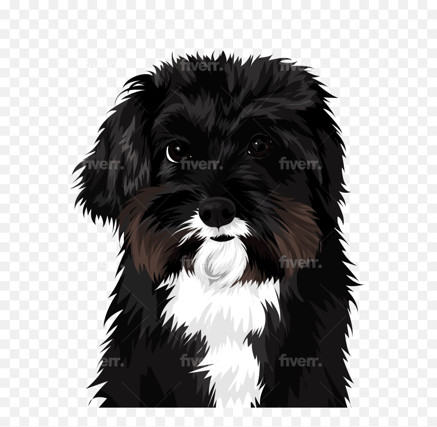 Draw Dog Cat Pet Portrait Vector - Vulnerable Native Breeds Emoji,Old English Sheep Dog Emoji