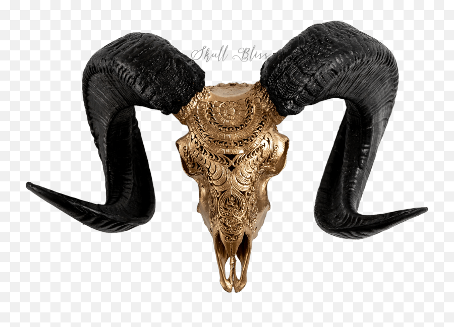 What Do Different - Carved Rams Skull Emoji,Fruits Represnting Emotions