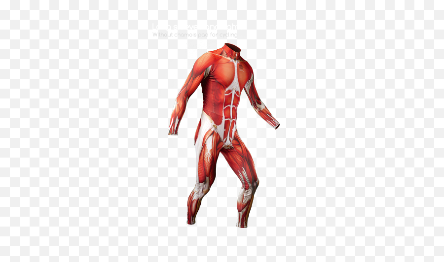 Download The Muscle Skin Suit Line Is A Collection Of Skin Emoji,Muslce Arm Emoji