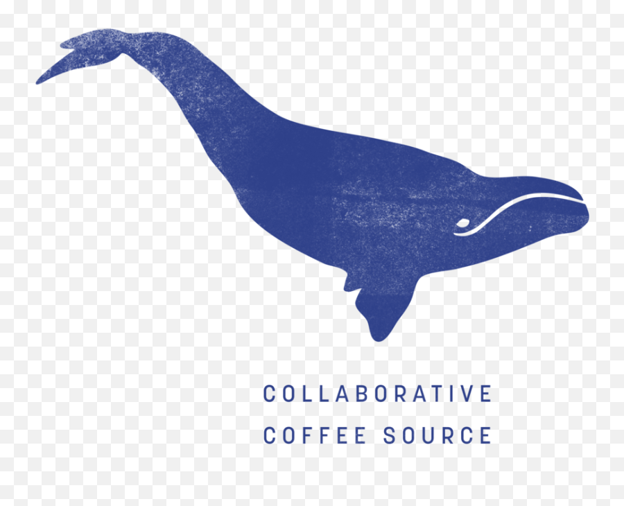 Producers U2014 Collaborative Coffee Source Blog U2014 Collaborative - Collaborative Coffee Source Emoji,Astrid S Emotion