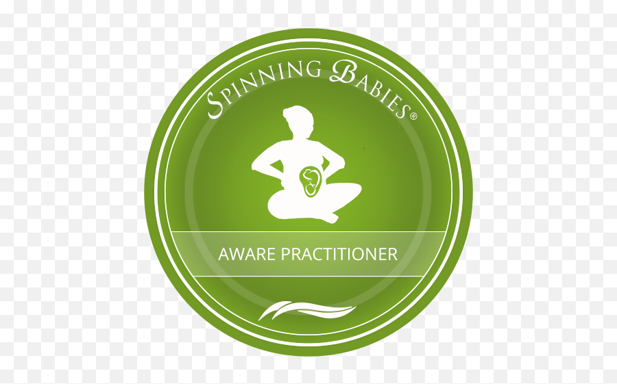 Silent Auction New Webpage - Spinning Babies Aware Practitioner Emoji,Emoji Silent Night