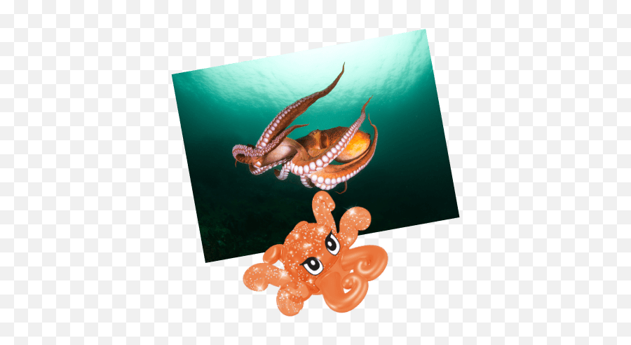 Kinder Animal Adventures - Kinder Canada Kinder Surprise Octopus F9r Bag Emoji,Octopus Changing Color To Match Emotion