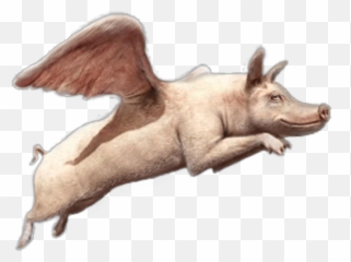 Pig Flying Sticker - El Cerdo Volador Emoji,Flying Pigs Emoji
