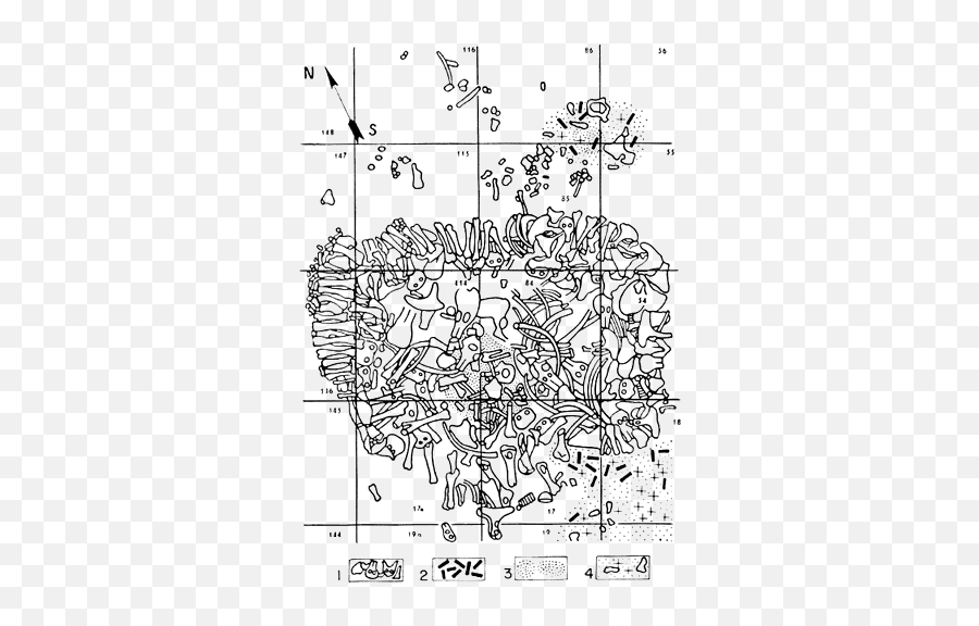 21111 Chapter 0dj Prehistoric Knowledge - Language Emoji,Baxter Black 