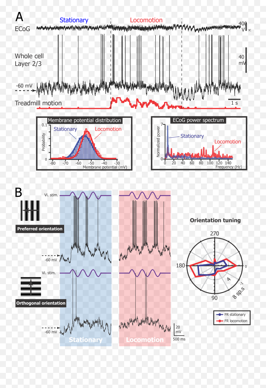 Visual Processing Emoji,Emotion Laboratory Area Under The Curve