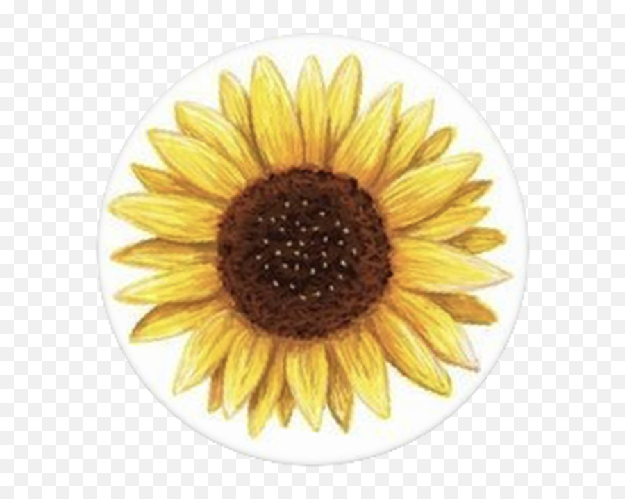 Sunflower Drawing - Printable Sunflower Sticker Emoji,Emoji Room Stickers