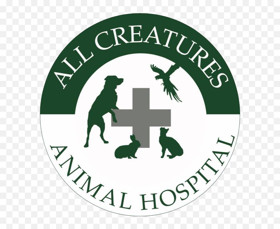 Veterinarian In Naples Fl Animal Hospital All Creatures - Language