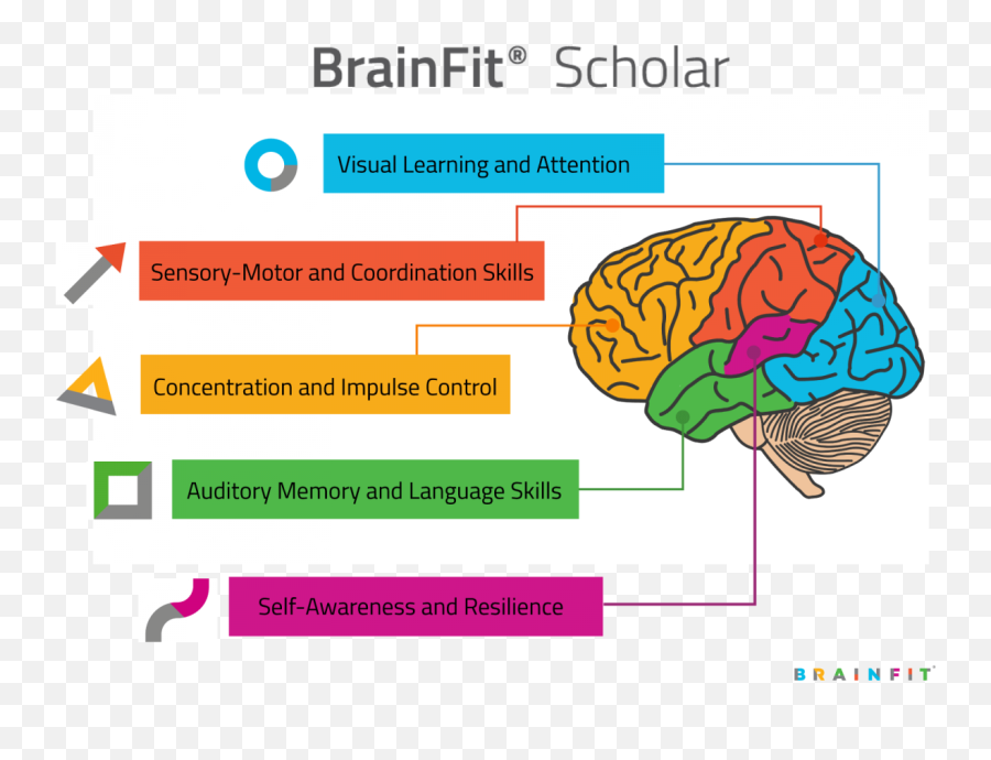 Brainfit Scholar Programmes - Brain Emoji,Brain Emotions Visual
