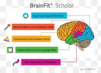 Brainfit Scholar Programmes - Brain Emoji,Brain Emotions Visual