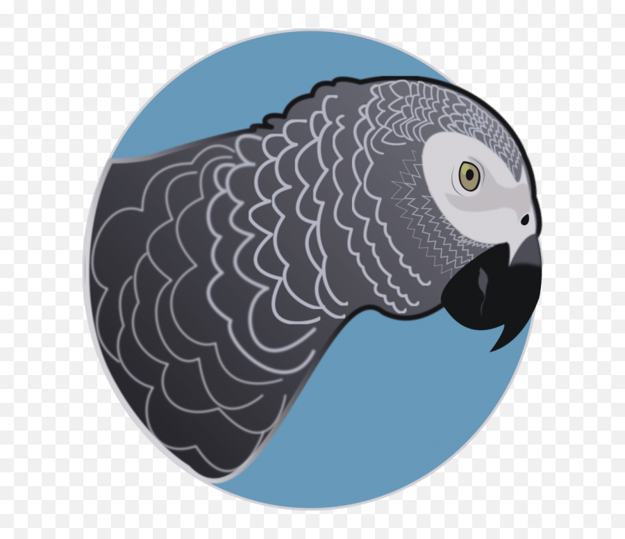 African Grey Parrots - Grey Parrot Emoji,African Grey Parrot Reading Emotions