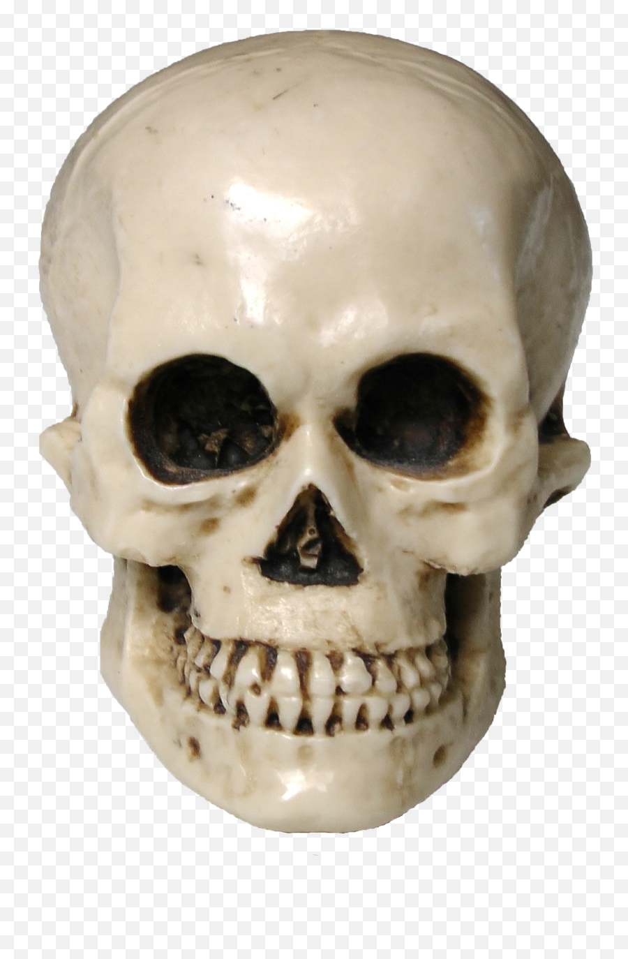 Skull Png Image Skeleton Drawings Skull Human Skeleton Emoji,Skull Emoji With Bones