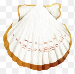 Shell Pearl Overlay Sticker Emoji,Scallop Emoji