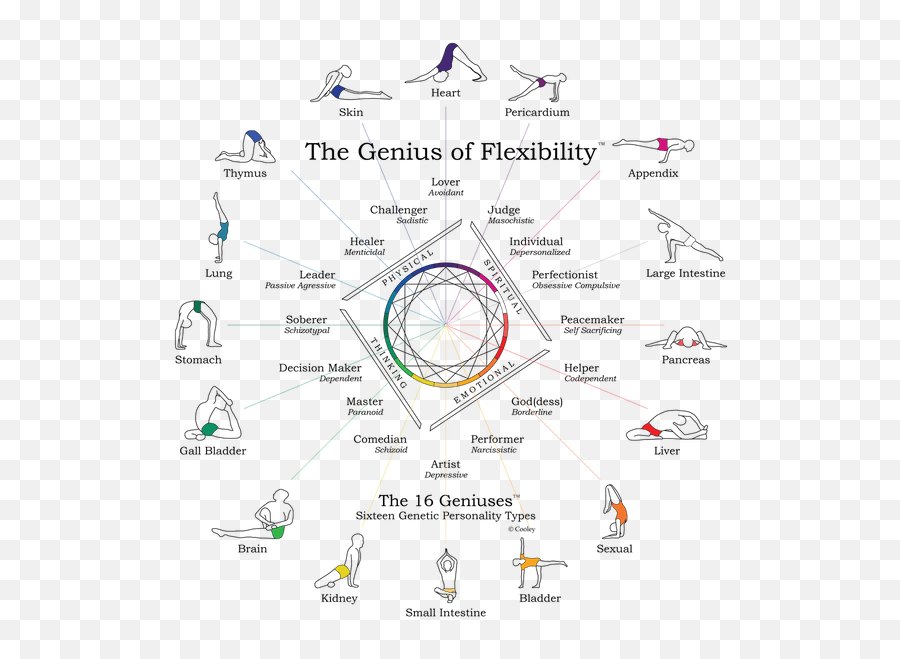 Meridian Stretches For Athletes - Genius Of Flexibility Bob Cooley Pdf Emoji,Stomach Meridian Emotions